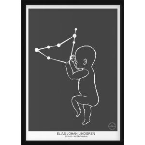 PERSONLIG BABYPLAKAT - Stenbukken