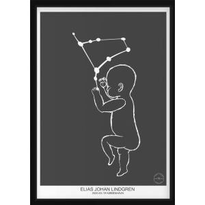 PERSONLIG BABYPLAKAT - Gemini